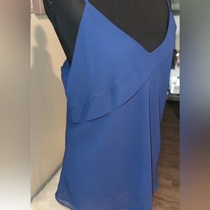 NWT Naked Zebra Blue Top